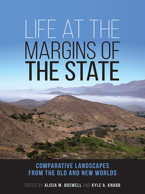cover image of Life at the Margins of the State